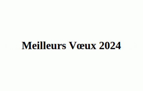 Bonne Année 2024